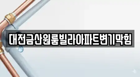 대전금산원룸빌라아파트변기막힘