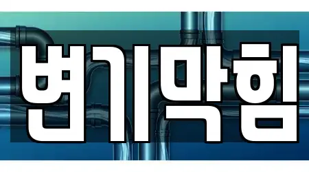 대전 구완동 기반 변기막힘 7개 위치