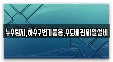 누수탐지,하수구변기뚫음,수도배관제일설비