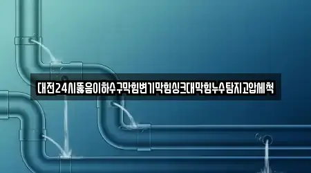 대전24시뚫음이하수구막힘변기막힘싱크대막힘누수탐지고압세척