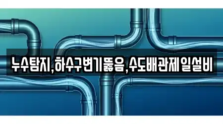 누수탐지,하수구변기뚫음,수도배관제일설비