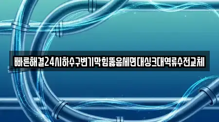 빠른해결24시하수구변기막힘뚫음세면대싱크대역류수전교체