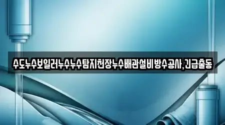 수도누수보일러누수누수탐지천장누수배관설비방수공사,긴급출동