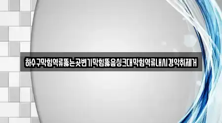하수구막힘역류뚫는곳변기막힘뚫음싱크대막힘역류내시경악취제거