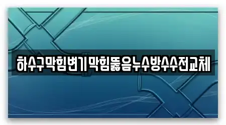 하수구막힘변기막힘뚫음누수방수수전교체