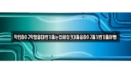 막힌하수구막혔을때변기뚫는업체싱크대뚫음하수구뚫기변기뚫어뻥