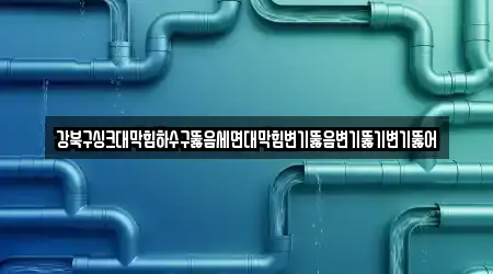 강북구싱크대막힘하수구뚫음세면대막힘변기뚫음변기뚫기변기뚫어