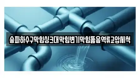 송파하수구막힘싱크대막힘변기막힘뚫음역류고압세척
