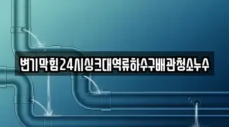 변기막힘24시싱크대역류하수구배관청소누수