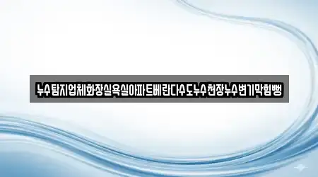 누수탐지업체화장실욕실아파트베란다수도누수천장누수변기막힘뻥