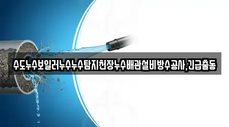 수도누수보일러누수누수탐지천장누수배관설비방수공사,긴급출동