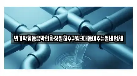 변기막힘뚫음막힌화장실하수구씽크대뚫어주는설비업체