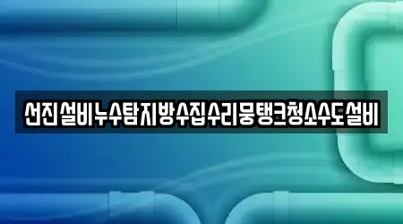 선진설비누수탐지방수집수리뭉탱크청소수도설비
