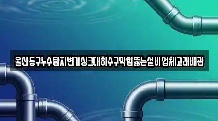 울산동구누수탐지변기싱크대하수구막힘뚫는설비업체고래배관