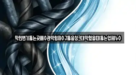 막힌변기뚫는곳배수관막힘하수구뚫음싱크대막혔을때뚫는업체누수