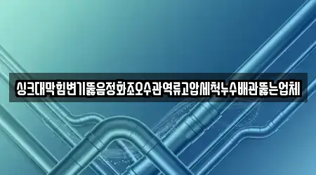 싱크대막힘변기뚫음정화조오수관역류고압세척누수배관뚫는업체