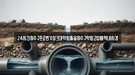 24시간하수구프로변기싱크대막힘뚫음하수구막힘고압세척내시경