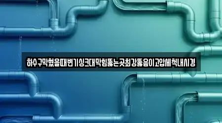 하수구막혔을때변기싱크대막힘뚫는곳최강뚫음이고압세척내시경