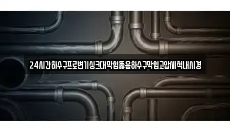 24시간하수구프로변기싱크대막힘뚫음하수구막힘고압세척내시경