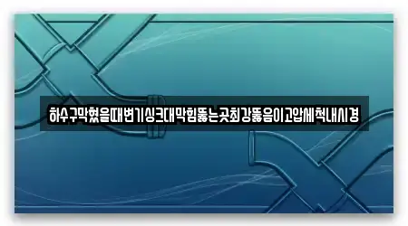 하수구막혔을때변기싱크대막힘뚫는곳최강뚫음이고압세척내시경