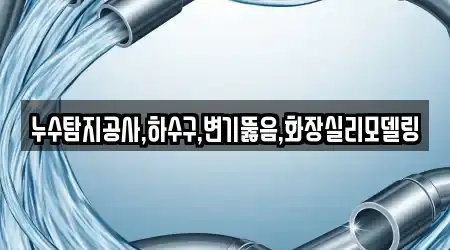 누수탐지공사,하수구,변기뚫음,화장실리모델링