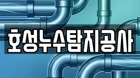 호성누수탐지공사