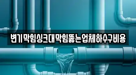 전주시 덕진구 덕진동1가에서 확인한 싱크대뚫음,하수구뚫음,변기막힘,누수,누수탐지 5개 업체