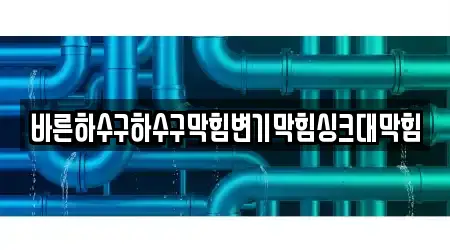 바른하수구하수구막힘변기막힘싱크대막힘