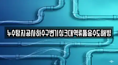누수탐지공사하수구변기싱크대역류뚫음수도해빙