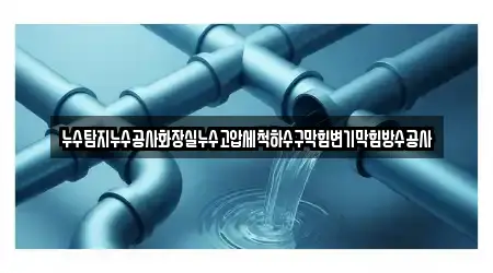 누수탐지누수공사화장실누수고압세척하수구막힘변기막힘방수공사