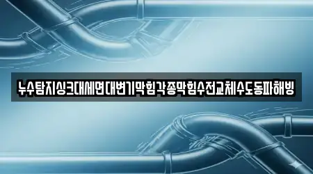 누수탐지싱크대세면대변기막힘각종막힘수전교체수도동파해빙