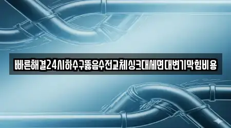 빠른해결24시하수구뚫음수전교체싱크대세면대변기막힘비용