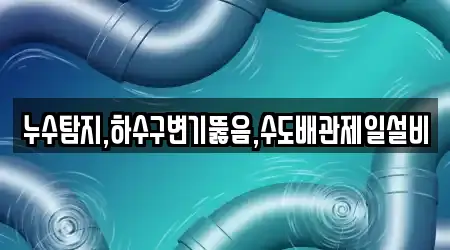 누수탐지,하수구변기뚫음,수도배관제일설비