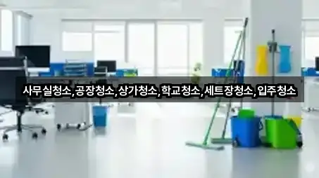 사무실청소,공장청소,상가청소,학교청소,세트장청소,입주청소