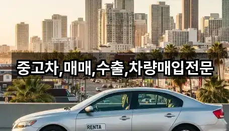 중고차,매매,수출,차량매입전문