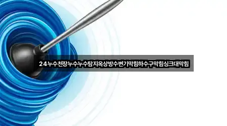 24누수천장누수누수탐지옥상방수변기막힘하수구막힘싱크대막힘