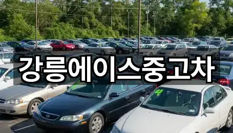 강릉에이스중고차