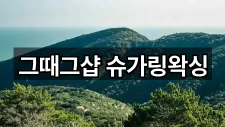 그때그샵 슈가링왁싱