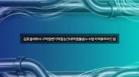 김포설비하수구막힘변기막힘싱크대막힘뚫음누수탐지역류뚜러드림