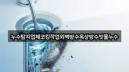 누수탐지업체코킹작업외벽방수옥상방수빗물누수