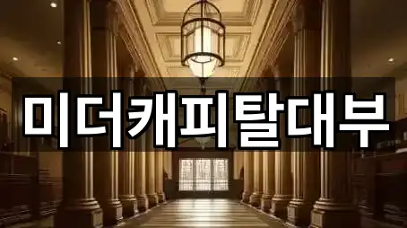 미더캐피탈대부