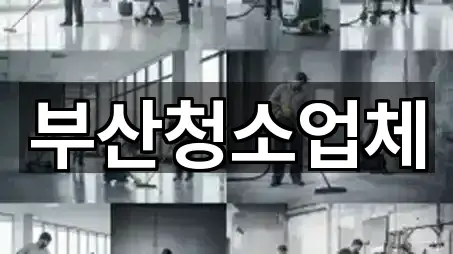 부산청소업체