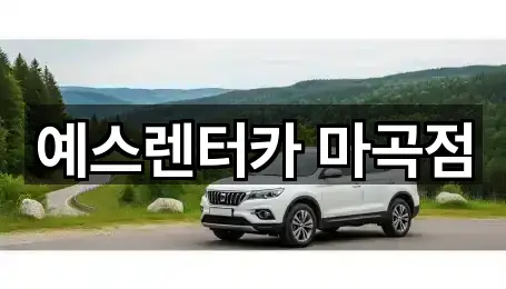 3곳 강서구 개화동 장기렌트카 빠른 보기