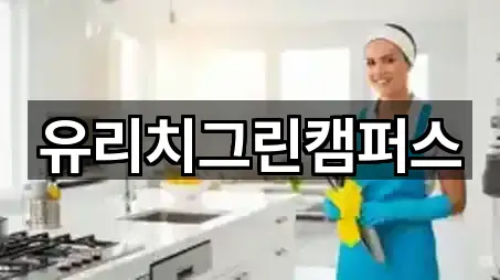 빠른 연결: 고기동 청소업체 5곳