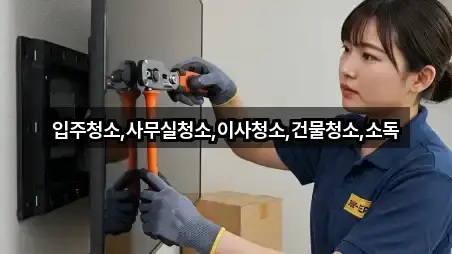 전남 고흥군 점암면 입주청소 연락처 모음 3건