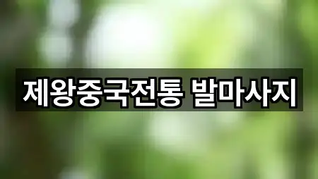 제왕중국전통 발마사지