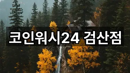 코인워시24 검산점
