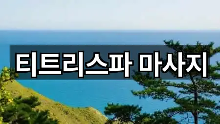 티트리스파 마사지