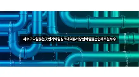 하수구막힘뚫는곳변기막힘싱크대역류화장실막힘뚫는업체욕실누수