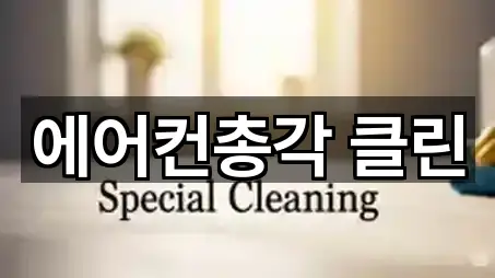 에어컨총각 클린
